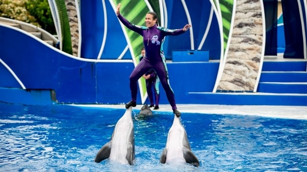 Manavgat Dolphins Show