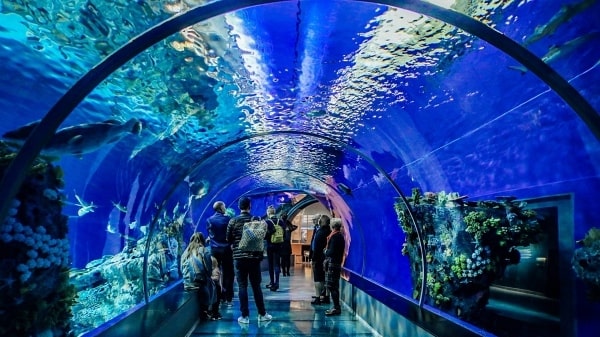 Antalya Aquarium Tour from Manavgat