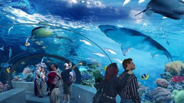Antalya Aquarium Tour from Manavgat