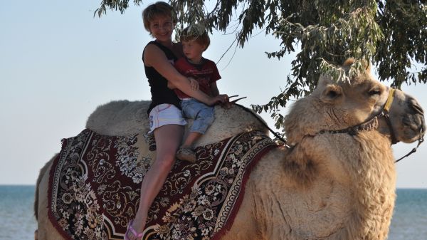 Fethiye Camel Ride