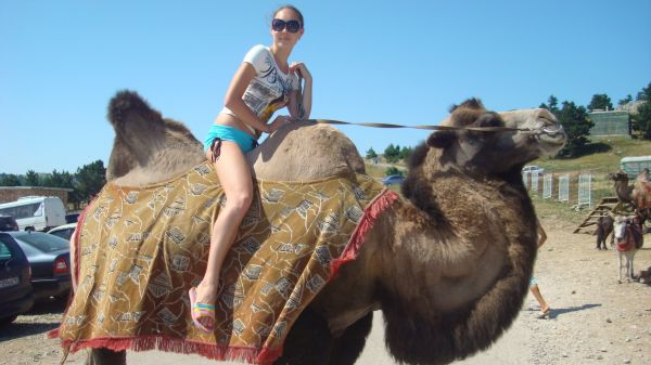 Fethiye Camel Ride